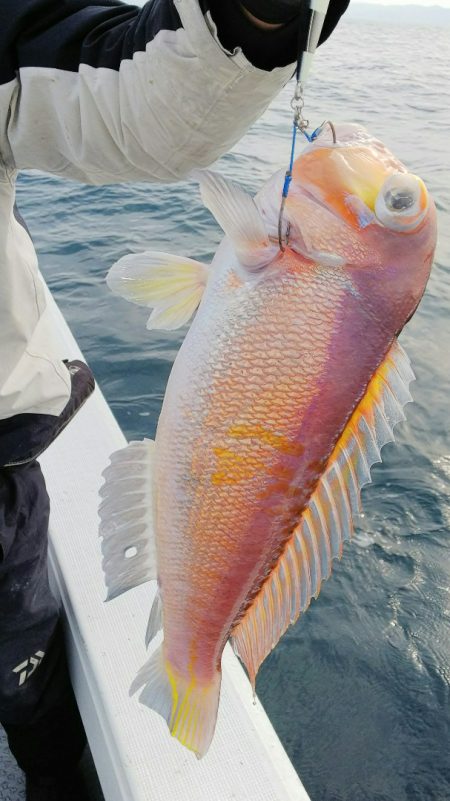 第二龍勢丸 釣果