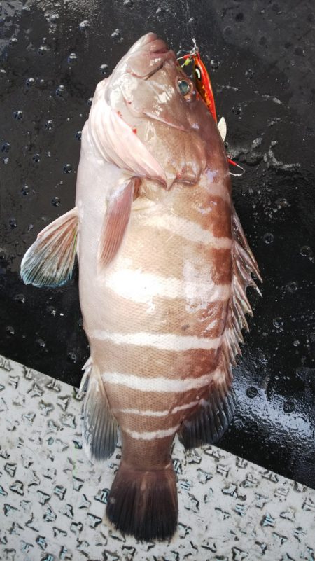 第二龍勢丸 釣果