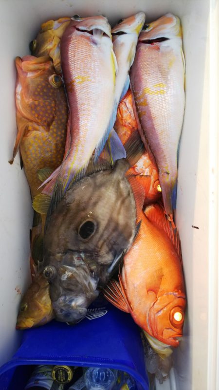 第二龍勢丸 釣果