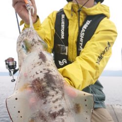 シースナイパー海龍 釣果