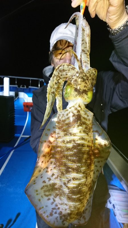 第三共栄丸 釣果