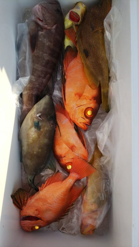 第二龍勢丸 釣果