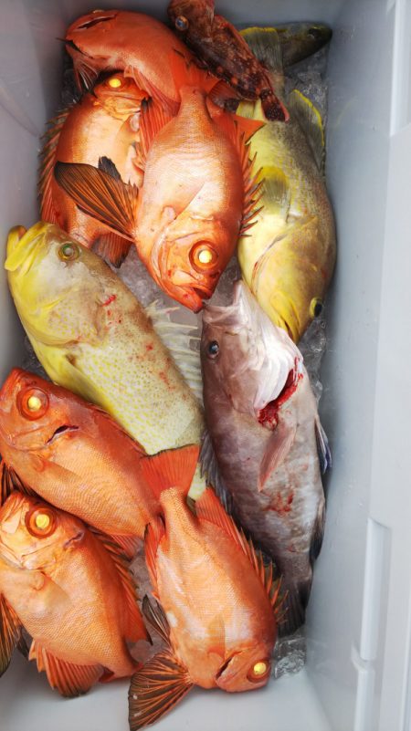 第二龍勢丸 釣果