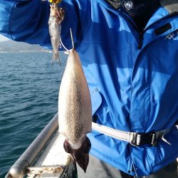 小島丸 釣果