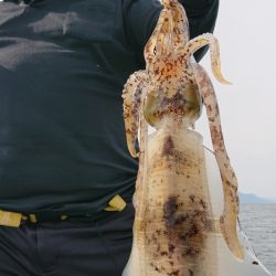 シースナイパー海龍 釣果