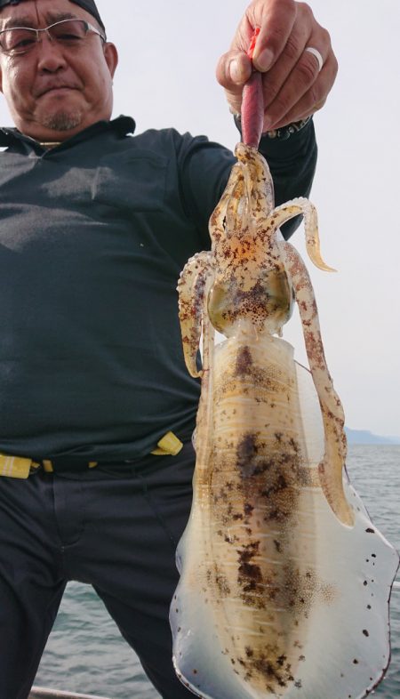シースナイパー海龍 釣果