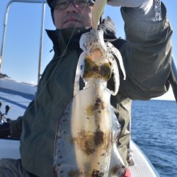 渡船屋たにぐち 釣果
