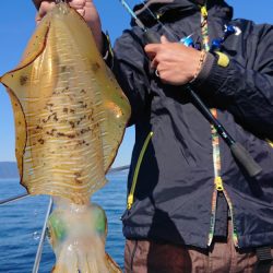 シースナイパー海龍 釣果