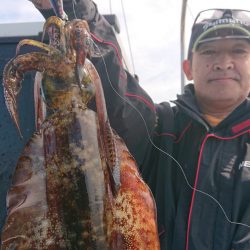 シースナイパー海龍 釣果