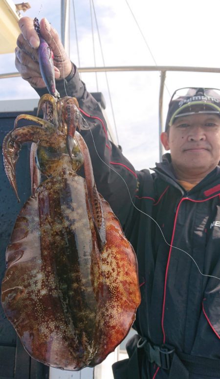 シースナイパー海龍 釣果