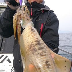 シースナイパー海龍 釣果