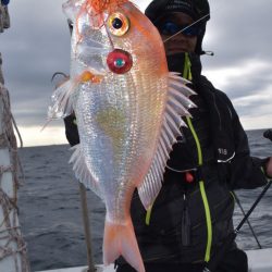 渡船屋たにぐち 釣果
