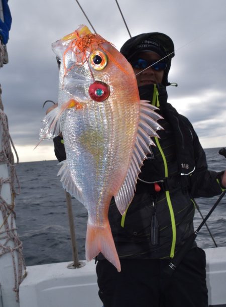 渡船屋たにぐち 釣果
