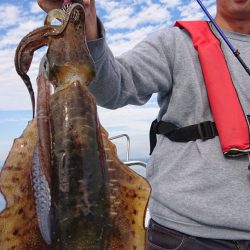シースナイパー海龍 釣果