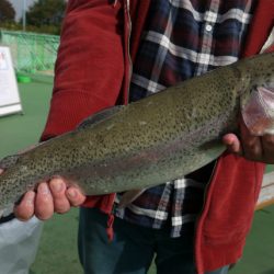 としまえんフィッシングエリア 釣果