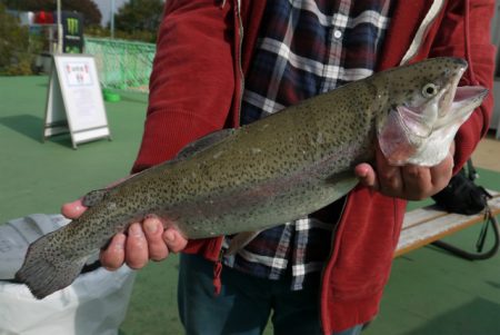としまえんフィッシングエリア 釣果