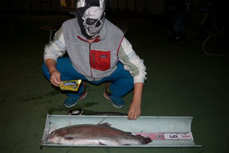 としまえんフィッシングエリア 釣果