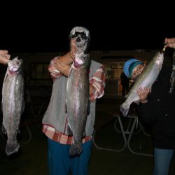 としまえんフィッシングエリア 釣果