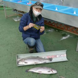 としまえんフィッシングエリア 釣果