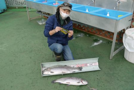 としまえんフィッシングエリア 釣果