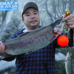 としまえんフィッシングエリア 釣果