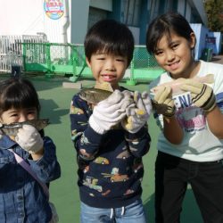 としまえんフィッシングエリア 釣果