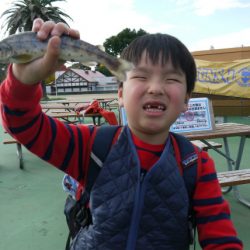 としまえんフィッシングエリア 釣果