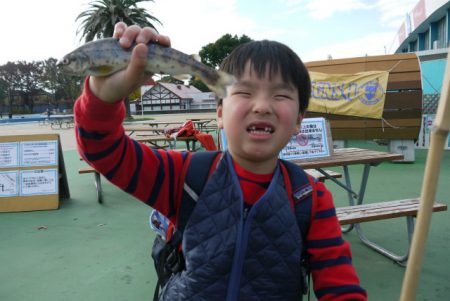 としまえんフィッシングエリア 釣果