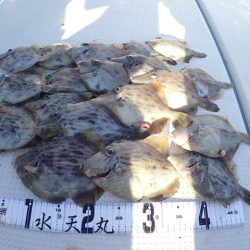 水天丸 釣果