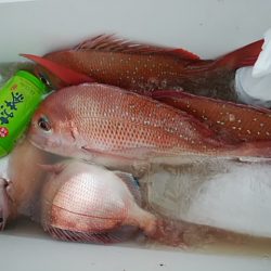 鴨下丸 釣果