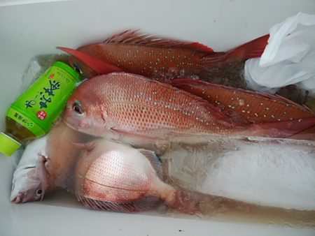 鴨下丸 釣果