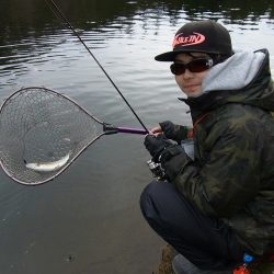 平谷湖フィッシングスポット 釣果