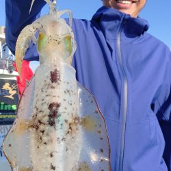 シースナイパー海龍 釣果