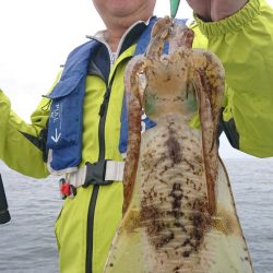 シースナイパー海龍 釣果