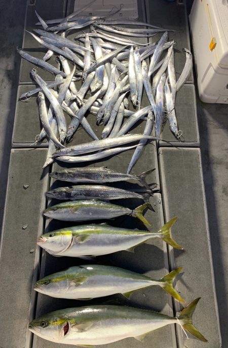 SeaRide(シーライド) 釣果