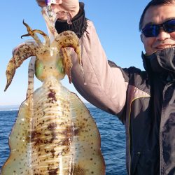 シースナイパー海龍 釣果