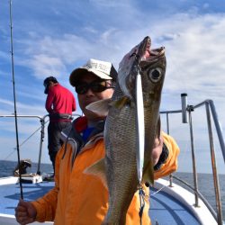 渡船屋たにぐち 釣果