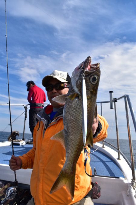 渡船屋たにぐち 釣果