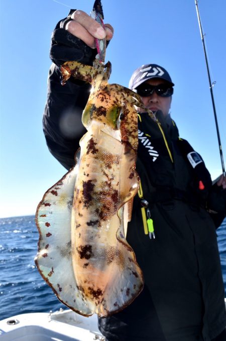 渡船屋たにぐち 釣果
