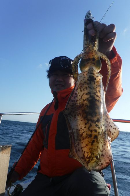 ブルースフィッシングサービス 釣果