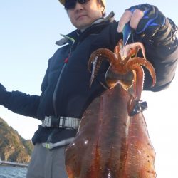 ブルースフィッシングサービス 釣果