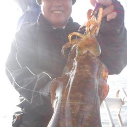 ブルースフィッシングサービス 釣果