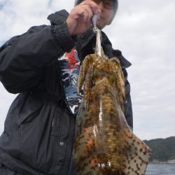 ブルースフィッシングサービス 釣果