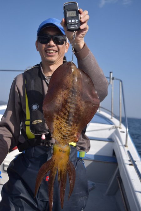渡船屋たにぐち 釣果
