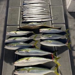 SeaRide(シーライド) 釣果