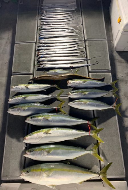 SeaRide(シーライド) 釣果