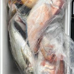 あみや渡船 JIGBOY 釣果