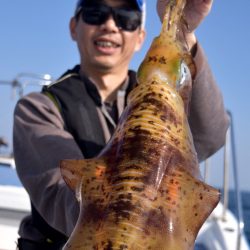 渡船屋たにぐち 釣果