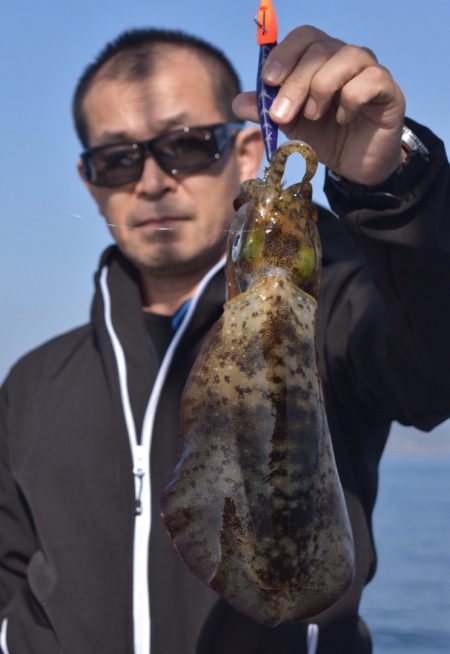 渡船屋たにぐち 釣果