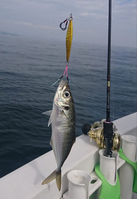 遊漁船 家入 釣果